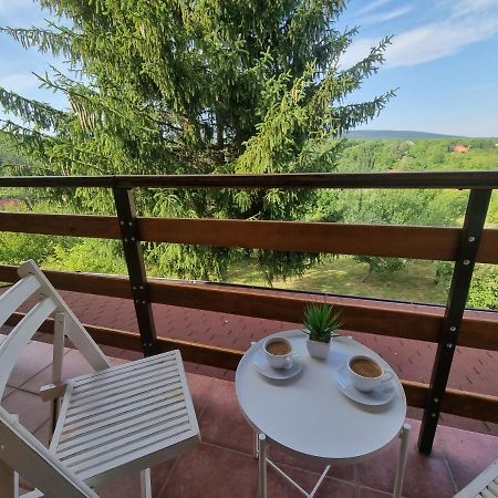 Willa Hoopovo House Fruska Gora Irig Zewnętrze zdjęcie