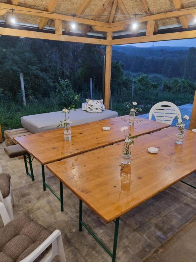 Willa Hoopovo House Fruska Gora Irig Zewnętrze zdjęcie