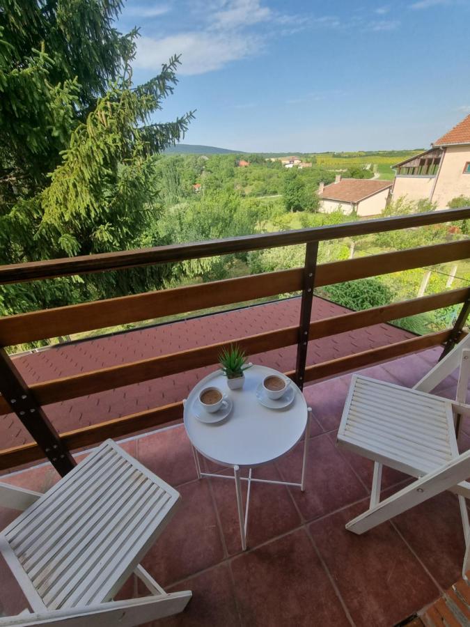 Willa Hoopovo House Fruska Gora Irig Zewnętrze zdjęcie