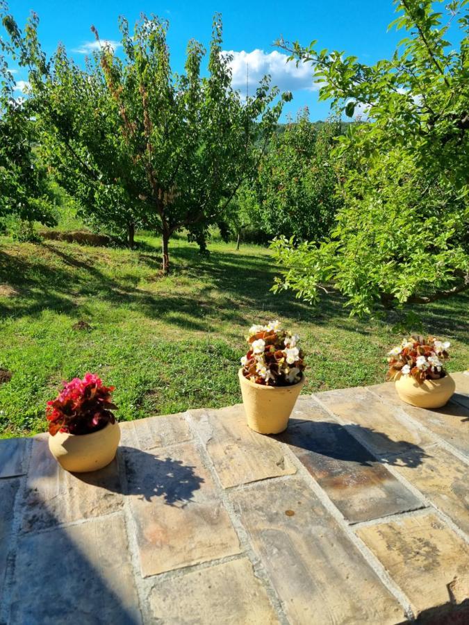 Willa Hoopovo House Fruska Gora Irig Zewnętrze zdjęcie